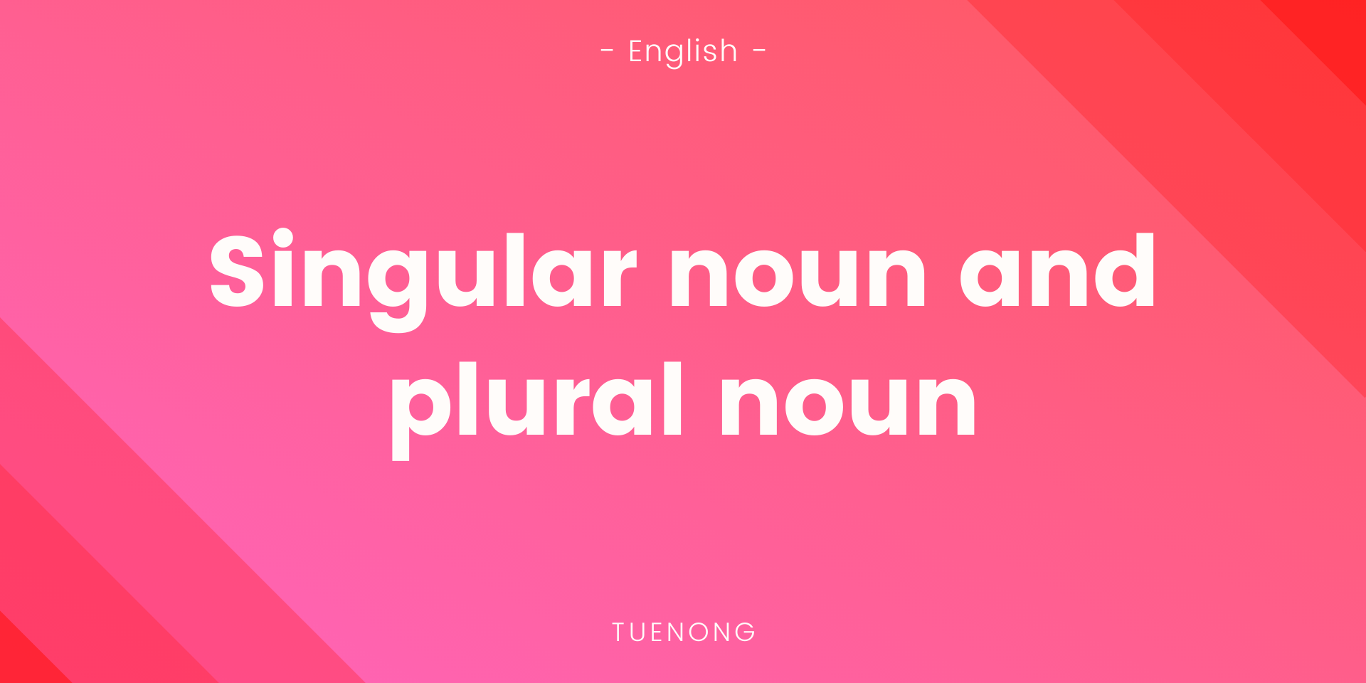 สรุปเนื้อหา Singular noun and plural noun